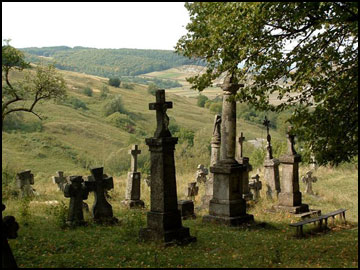 Stary Cmentarz w Podkamieniu